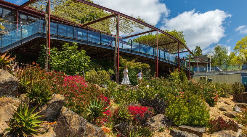 Blue Mountains Botanic Garden Mount Tomah, Mount Tomah, Australia, Australia